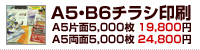 Ａ５・Ｂ６チラシ印刷